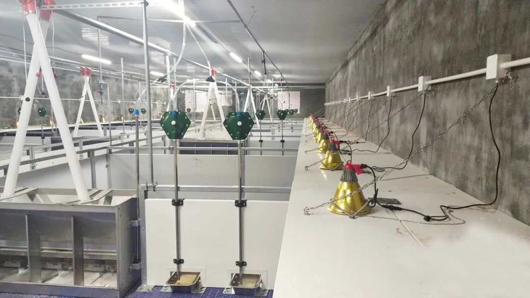 圖片7.png 圖片7.png